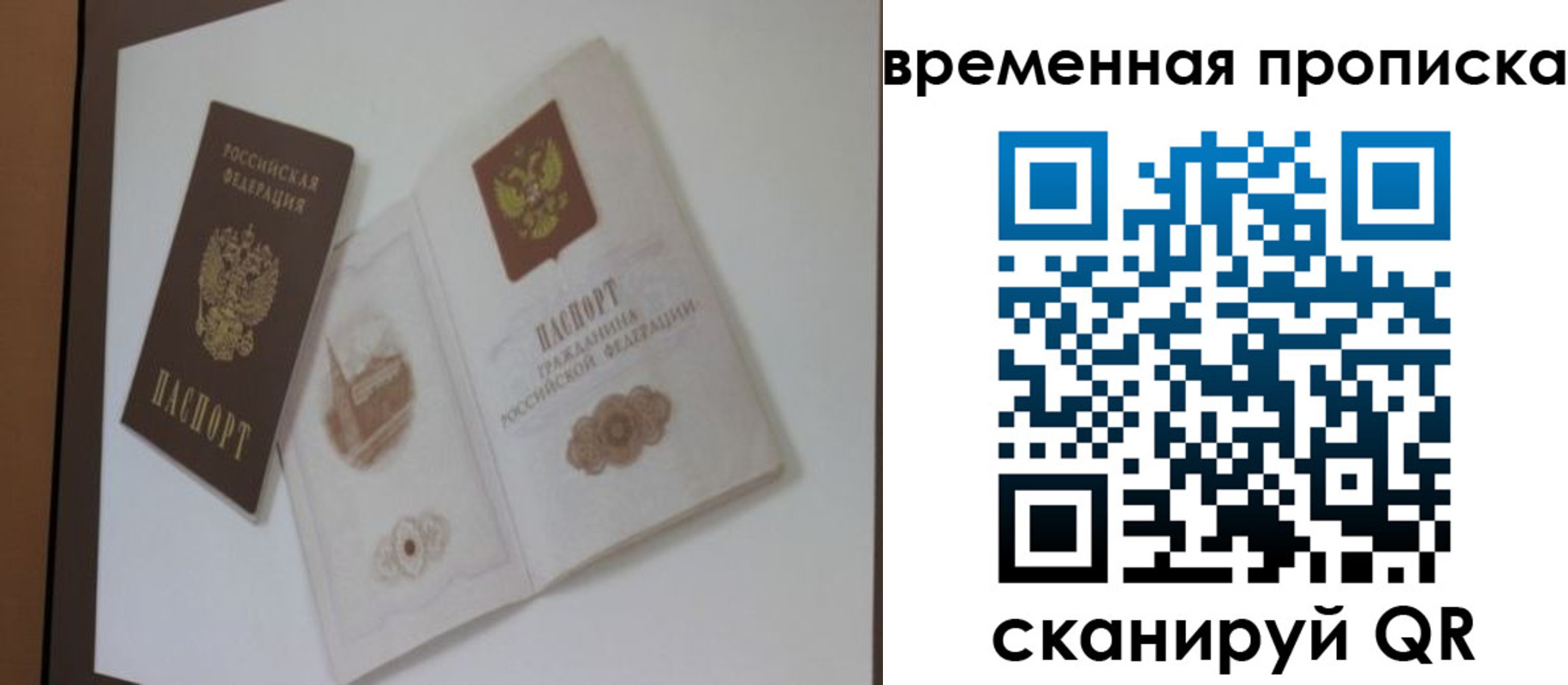 прописка 2025 в Белгородской области